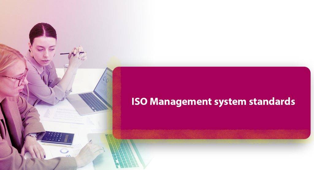 ISO Management system standards