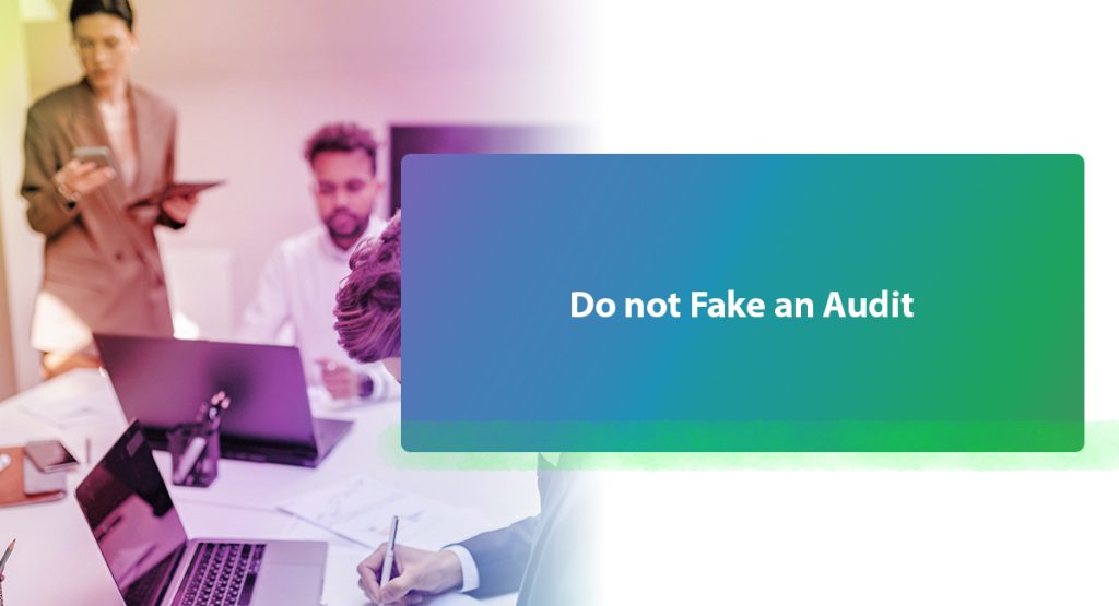 Do not Fake an Audit