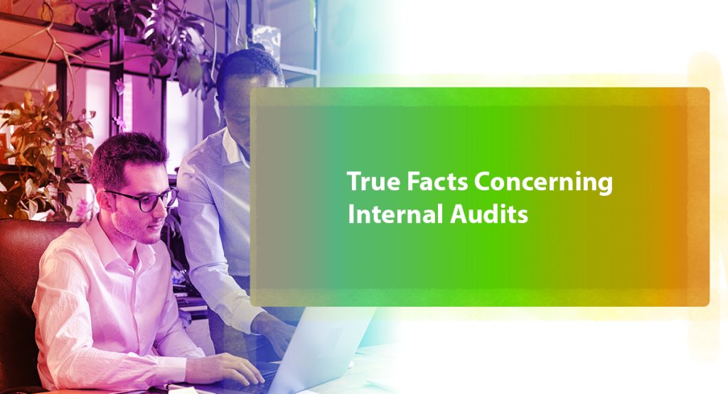 True Facts Concerning Internal Audits